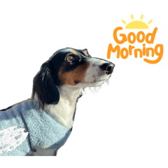 長屋てんちゃん