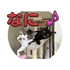 ムギ様スタンプ