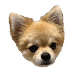 ぼくはちくわ②