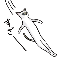 うちの猫「るりぽんぬ」