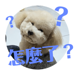 wenpei_20231202113206