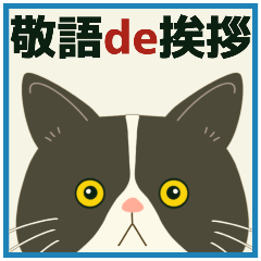 ハチワレぶーにゃんの敬語deご挨拶