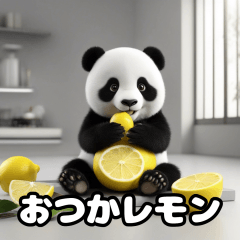 昭和死語なパンダ