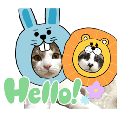 おこげとコハク２