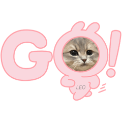 ミヌエットのレオくん