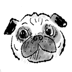 パグ犬がご挨拶