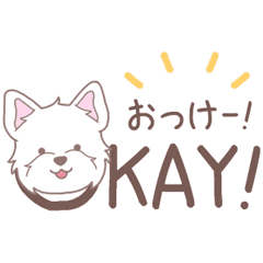 【英語】飛び出す‼ホワイトテリア