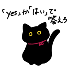黒猫ですけど！