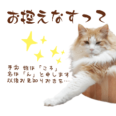 ころくースタンプ