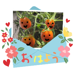 愉快な野菜の仲間たち!?