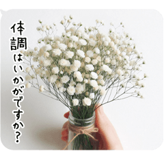 花束【病気見舞い】体調を気遣う 心配