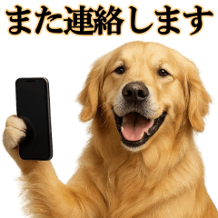 ゴールデンレトリバー☆必ず使う！敬語集