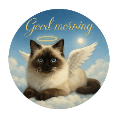 Cats in Heaven～Himalayan cat①