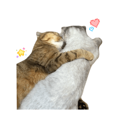 Nxmzqq_20251024232029