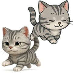 365日、癒まくりのアメショースタンプ♡