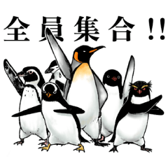 意外と使えるチームペンギン