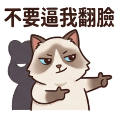 cat, don't make me lose my temper.