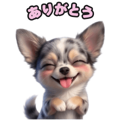 チワワのLINEスタンプ197