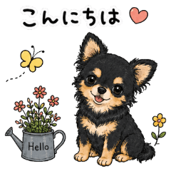 ブラックタンチワワのかわいい敬語スタンプ