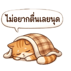 Jirawadi nida_20260613000704