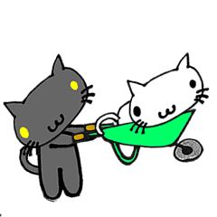 ネコ猫キャット