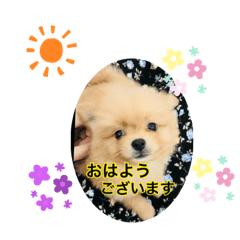 仲良し三人組だよ