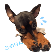 凛の日常～ときどき息子～