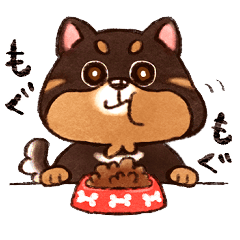 ブラタンポメのびっくん