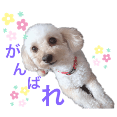 ピコたんスタンプ