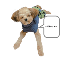 チワプーアトムな日