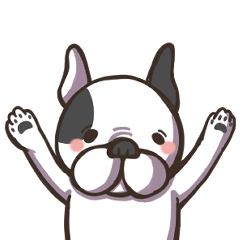 フレンチブルドッグのぽんず