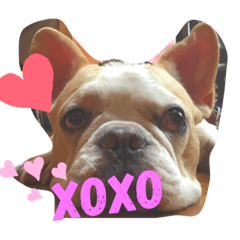 フレンチ♡リッキー