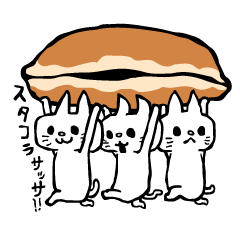 ネコのゆる〜〜い日常