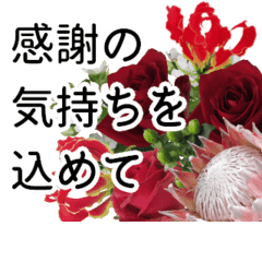 動く！母の日に花を♪