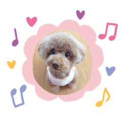 ベリーちゃんの毎日:)