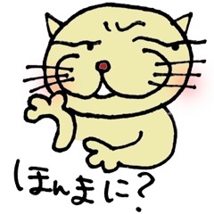 ねこやんの日常。