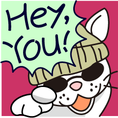 元ノラ猫のホワイトラム、今を生きる。