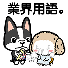 撮影業界用語ワンコ