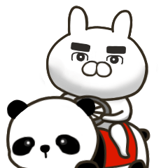 パイセンうさぎ