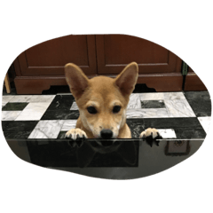 Mickey_20200826194109