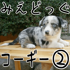 みえどっぐスタンプ コーギーカーディ編 ２