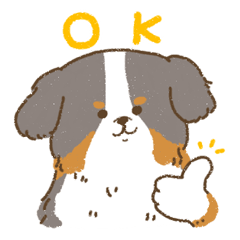 バーニーズ【いぬのきもち】