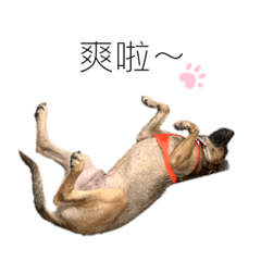 Carol_20201212172343