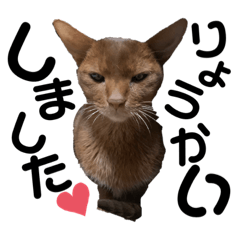 レオくん！！！