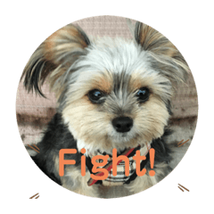 大人も使える犬のスタンプ3