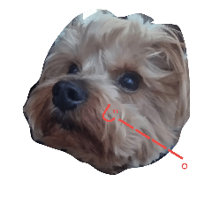 パピー時々エル(文字入り)