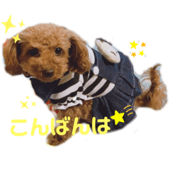 愛月と空パート10