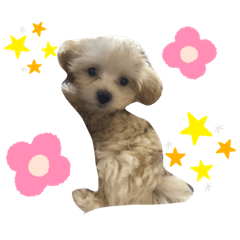 レオくん幼少期