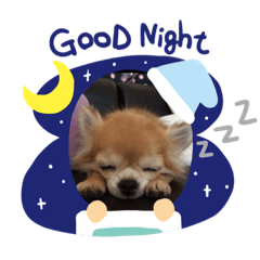 我が家の可愛い愛犬スタンプ