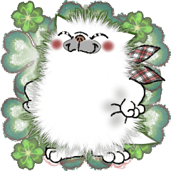 気づかいできる真っ白ブチャ猫！